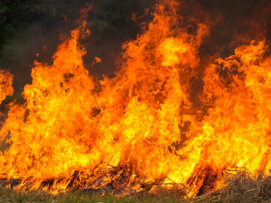 В некоторых лесничествах Подмосковья ожидается третий класс пожарной опасности