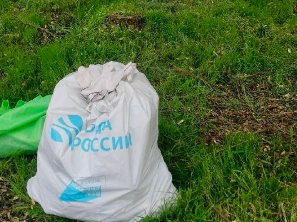 Берег деревенского пруда под Можайском расчистили добровольцы