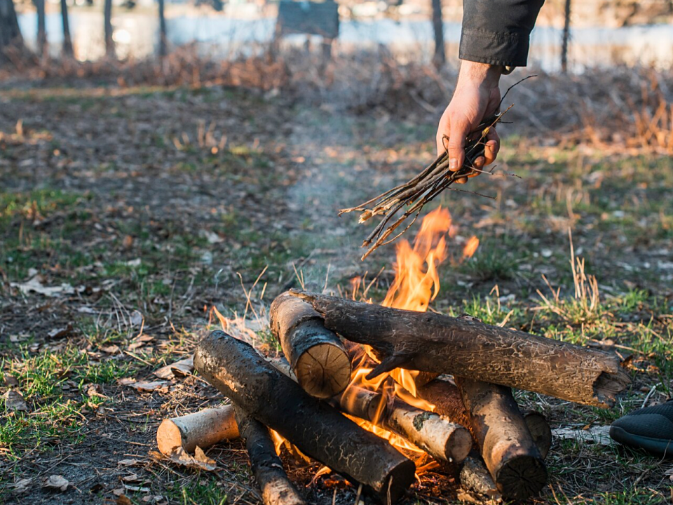 На шумные компании и костры в лесу теперь можно пожаловаться через интернет