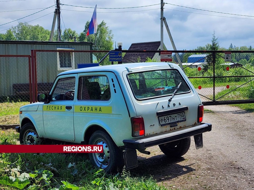 Лесничие предупредили волоколамцев об опасностях огня в лесу | REGIONS.RU /  Волоколамск