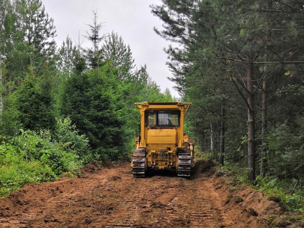 Более 50 километров лесных дорог в Подмосковье готовы к эксплуатации |  Regions.ru