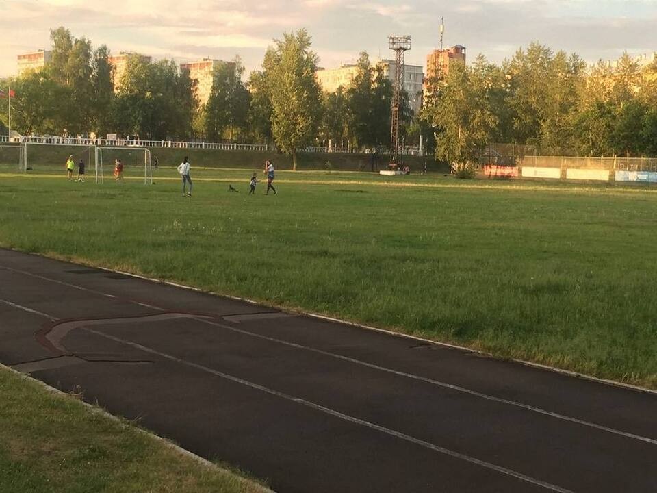 На поле стадиона не стригут газон, потому что через неделю начнется его реконструкция