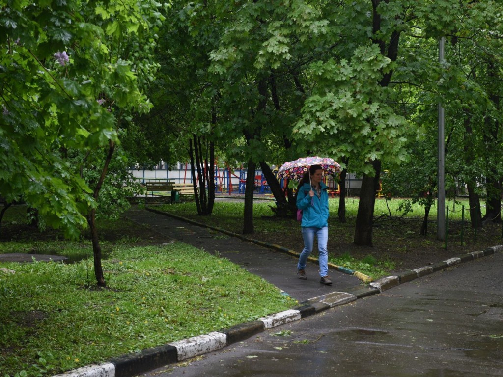 Неустойчивая погода в Реутове может повлиять на самочувствие горожан |  REGIONS.RU / Реутов