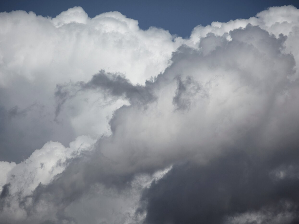 Облачную погоду с небольшими дождями передают синоптики в Лотошине