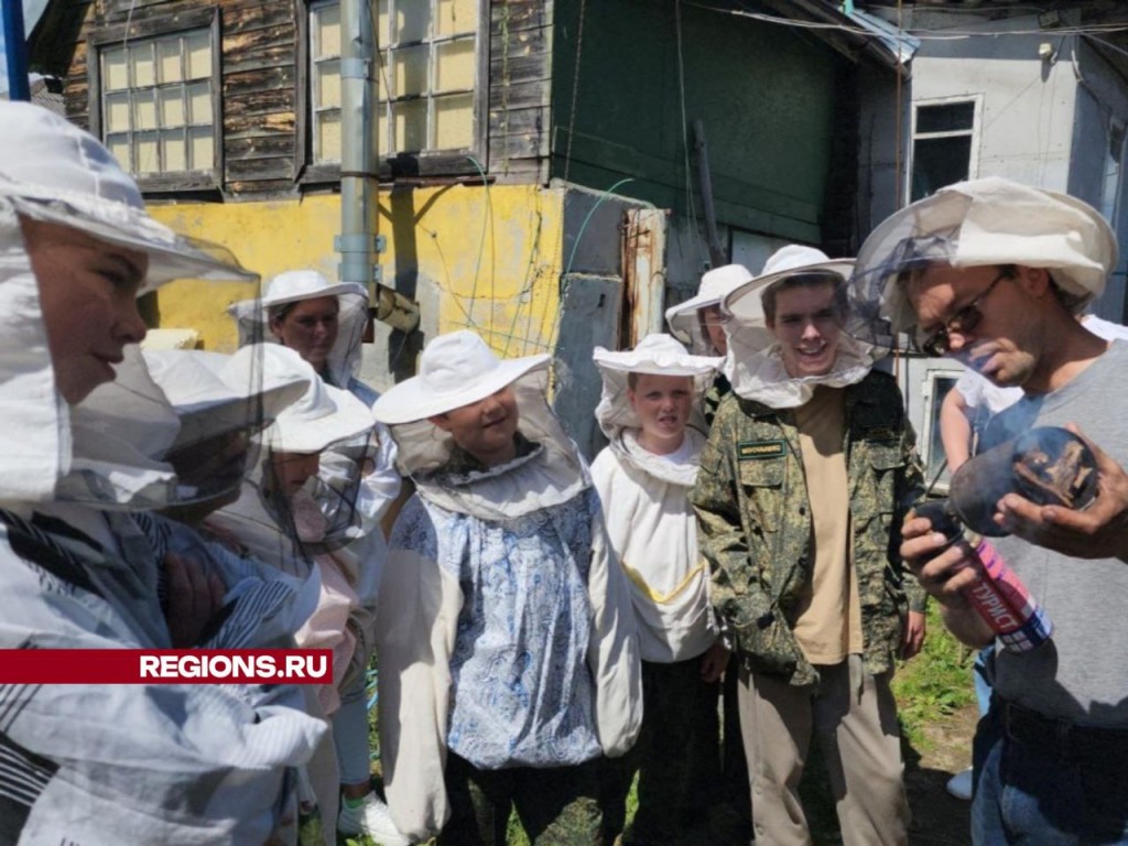 О чем жужжит пчела: ученики Коробовского лицея узнали, как устроена пасека