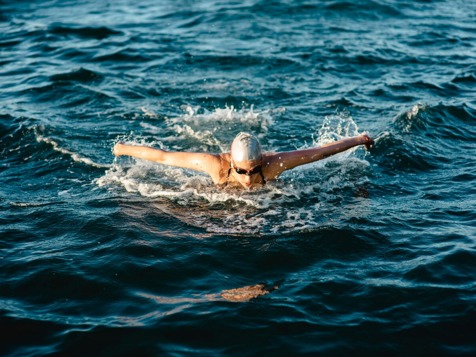 В Рузе пройдут международные соревнования по плаванию на Кубок чемпионов Swimcup