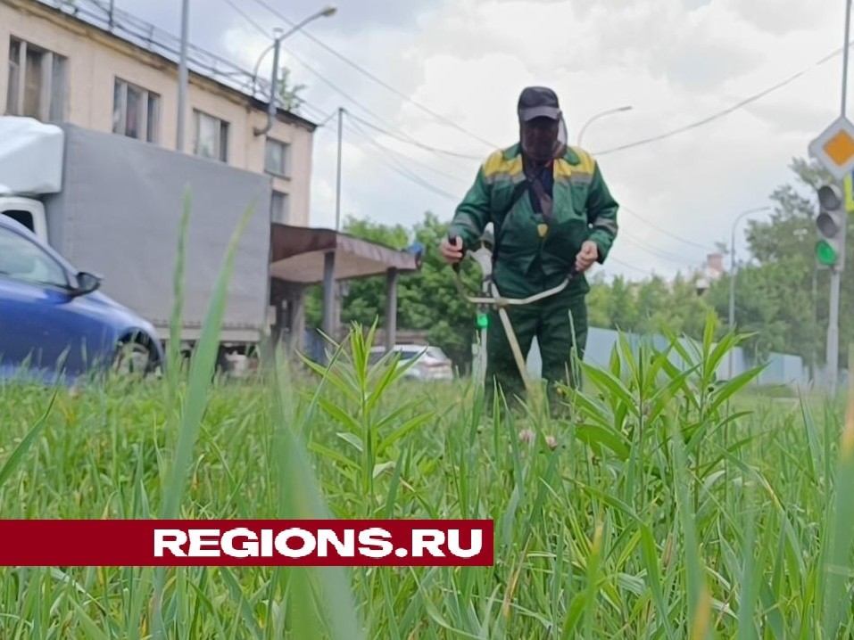 В Лобне стартовала вторая волна покоса травы