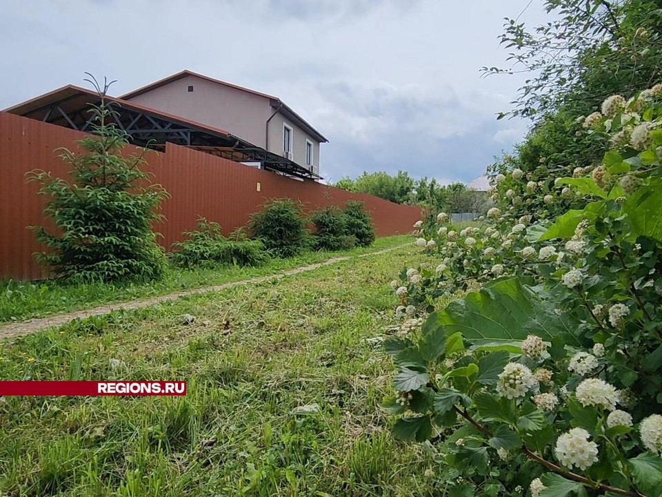Вместо зарослей репейника и борщевика в Кубинке сделают комфортабельную тропинку для пешеходов