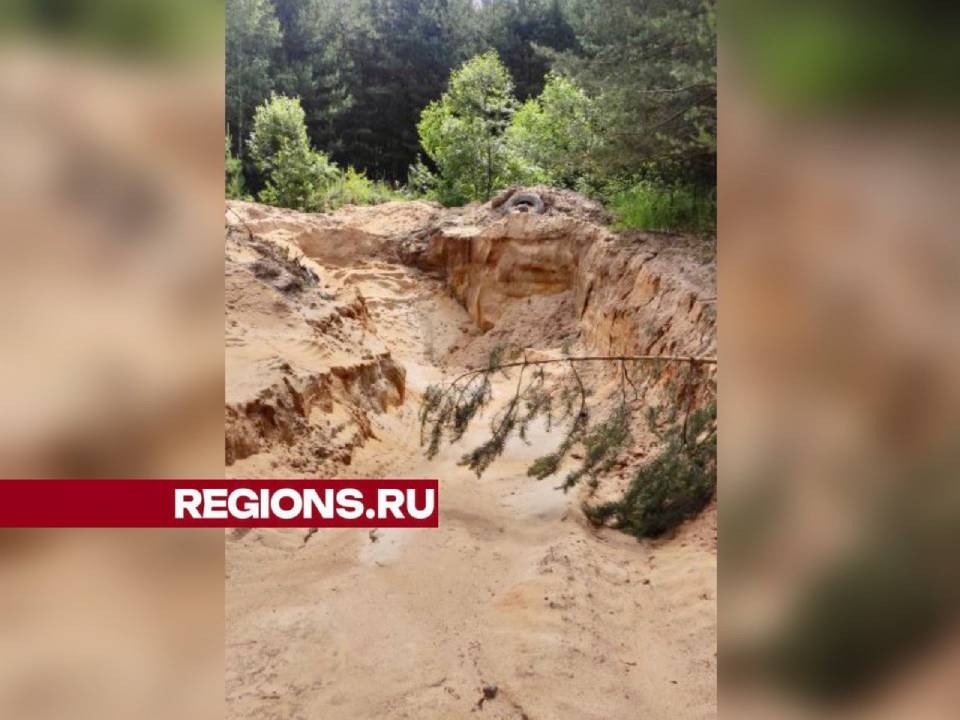 В Орехово-Зуеве ищут «черных» копателей» и нарушителей чистоты в  лесу