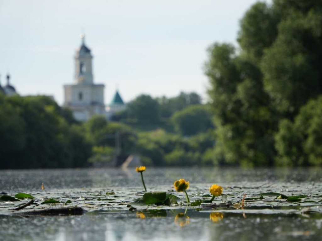 В Серпухове готовятся к Иоанно-Предтеченской престольной ярмарке |  REGIONS.RU / Серпухов