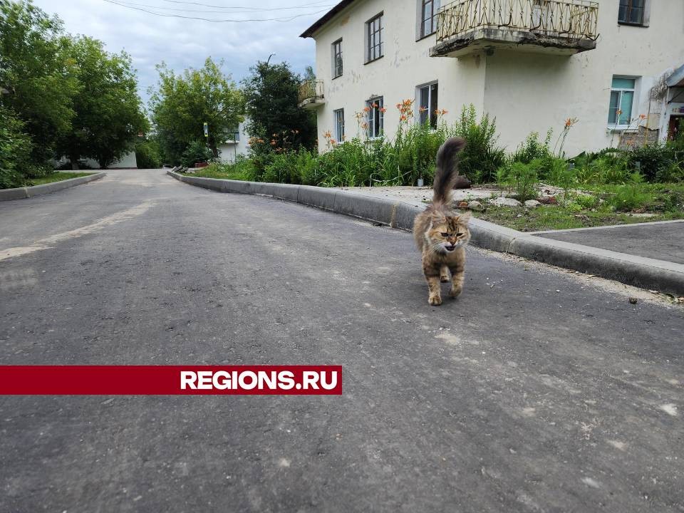 В деревне Демихово благоустроили дворовую территорию на улице Заводской