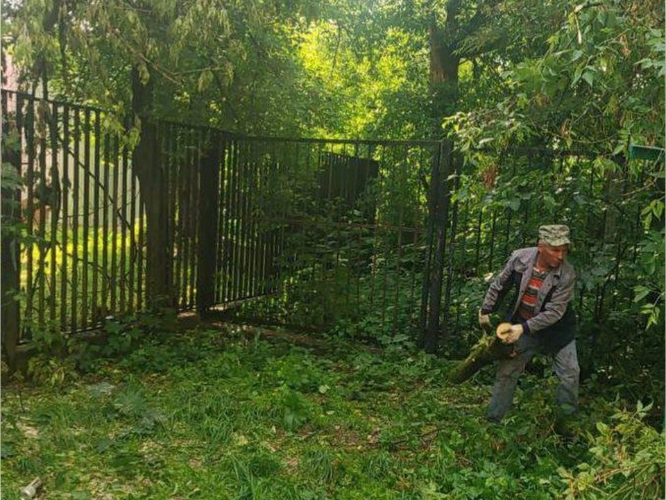 Коммунальная служба ликвидирует последствия непогоды в Истре и Дедовске