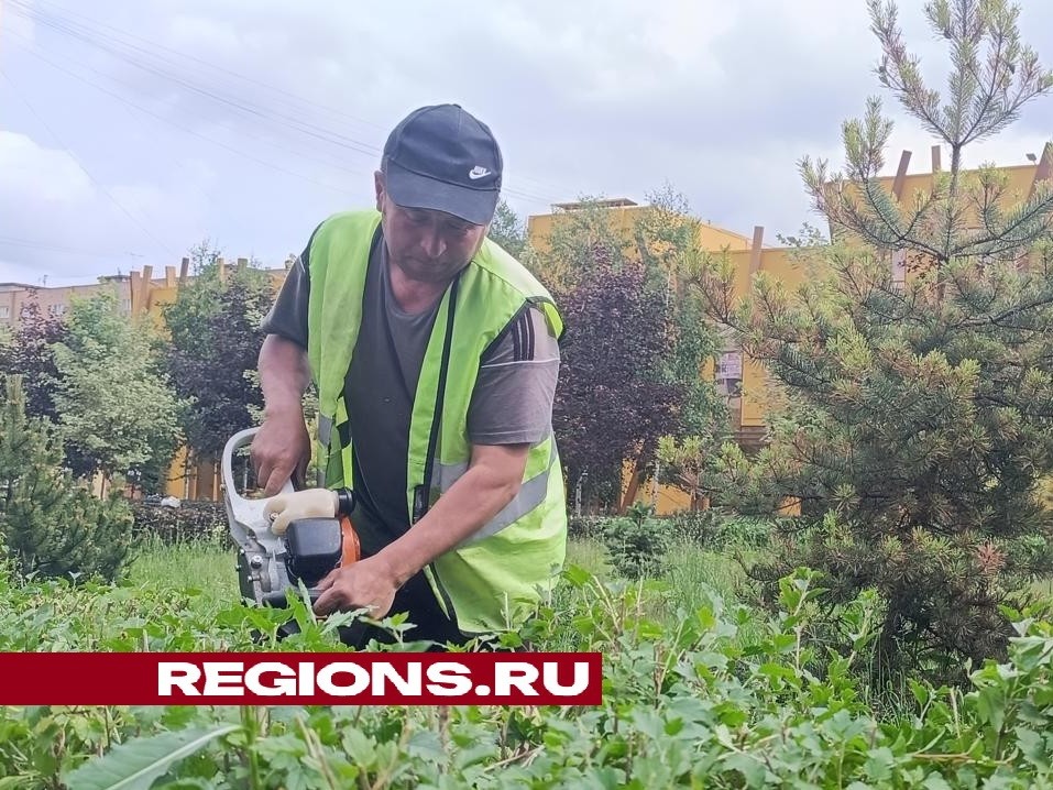 В Центральном парке Лобни формируют живые изгороди