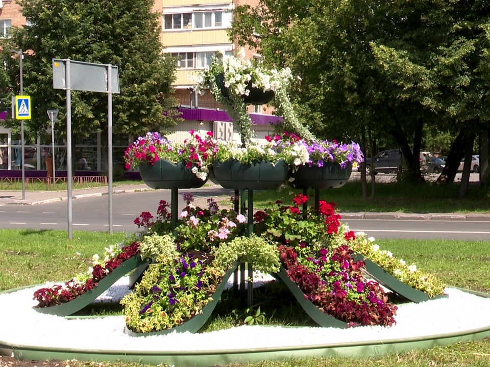Ростовые цветники украсили площадь на Дирижабельной в Долгопрудном