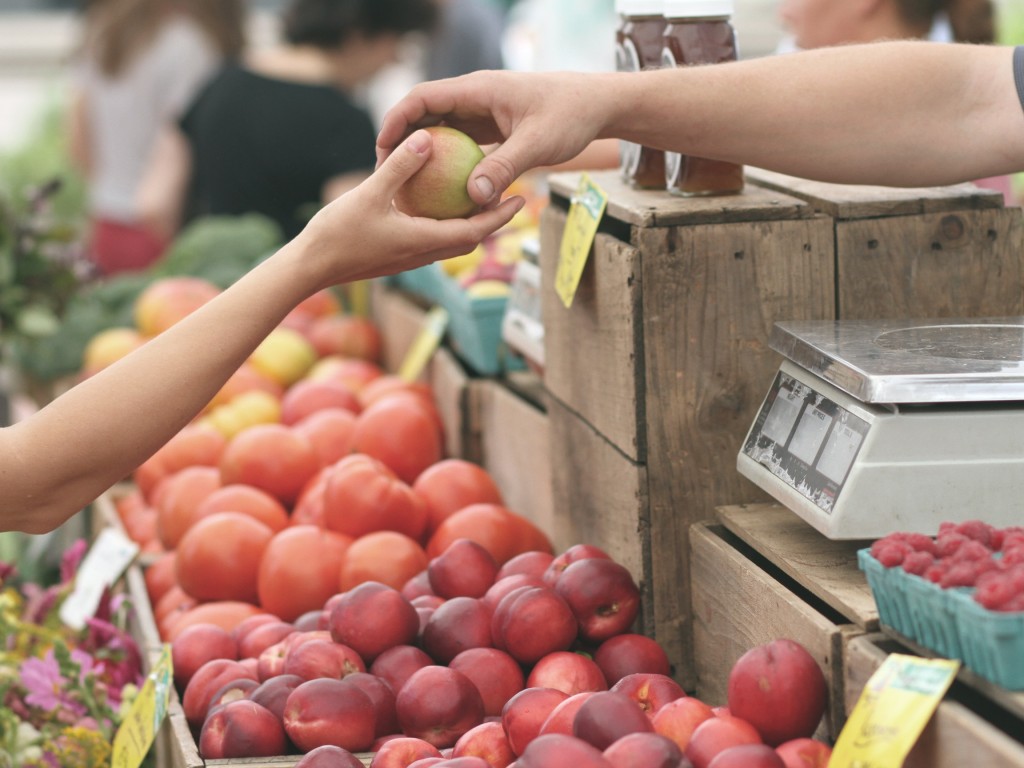 Жителям Солнечногорска рассказали, где купить качественные сезонные фрукты и овощи