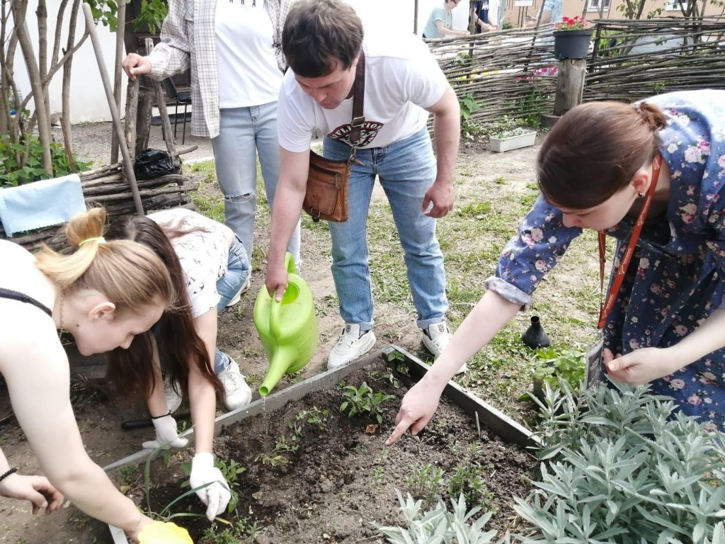 Душицу, эстрагон и анисовый иссоп посадили школьники в огороде при доме  Голубкиных | REGIONS.RU / Зарайск