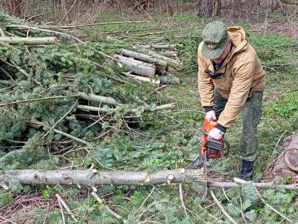 «Мособллес» устраняет последствия ветровала