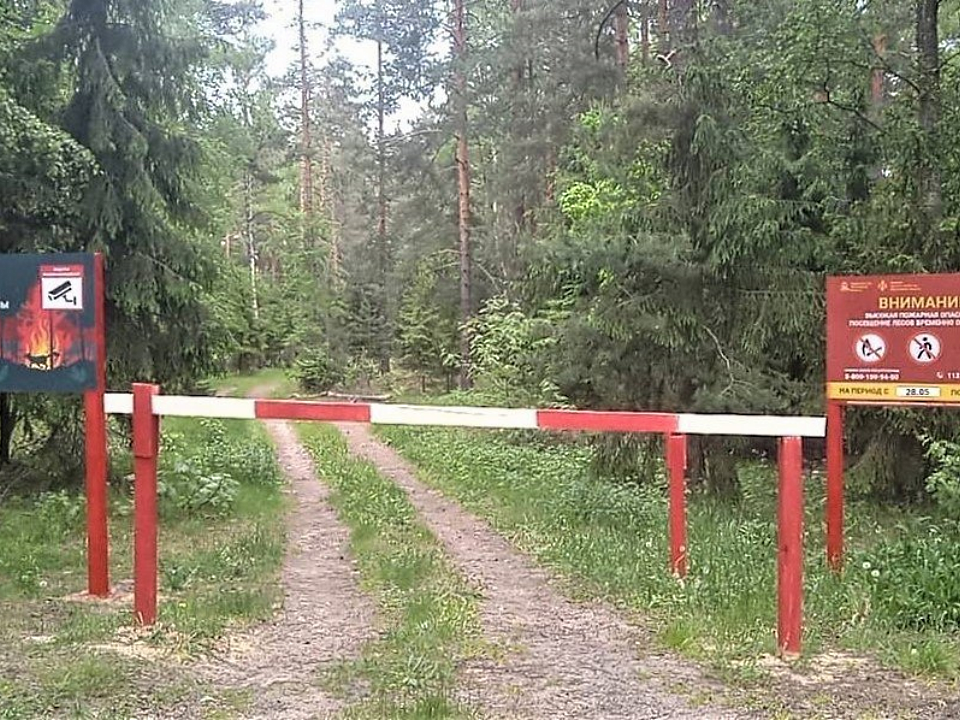 В Серпухове до 3 июня запрещено посещать леса