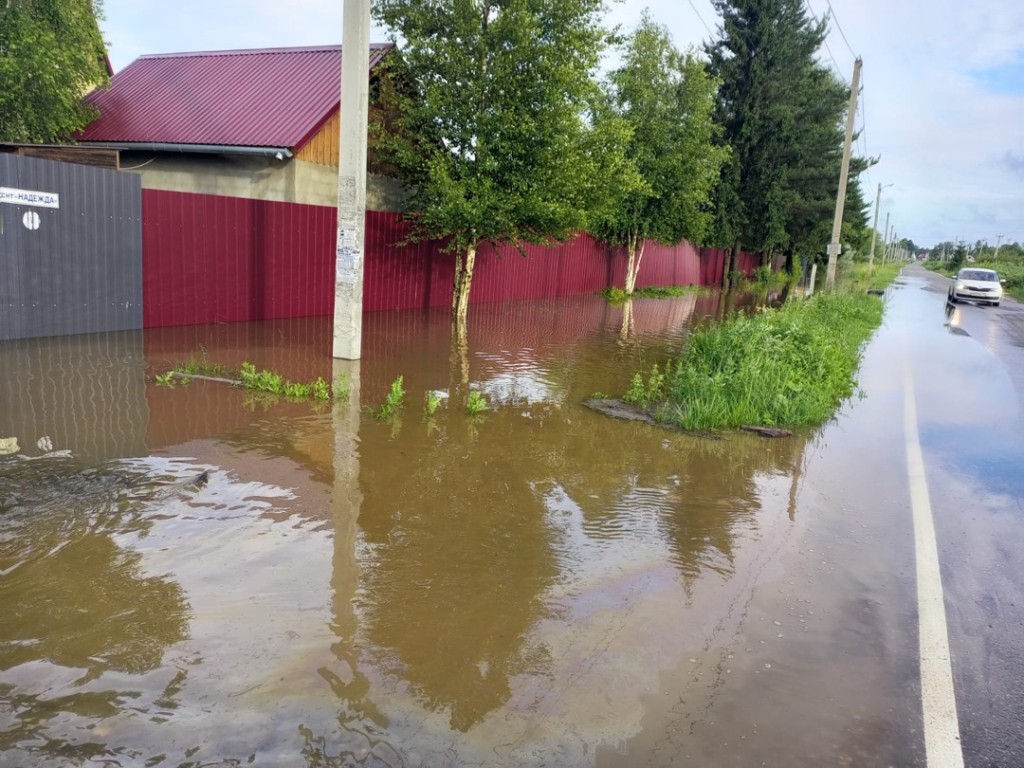 Жители Запрудни ищут диверсанта, который затопил участки на улице Школьной  | REGIONS.RU / Талдом