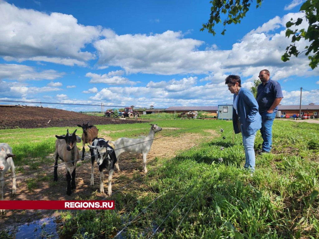 Больше молока и коров: ферма из Суворово выросла в два раза