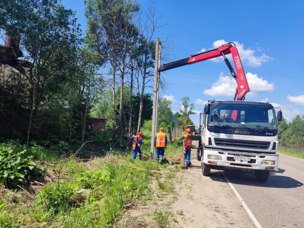 К приюту для бездомных животных во Фрянове построили линию электросетей