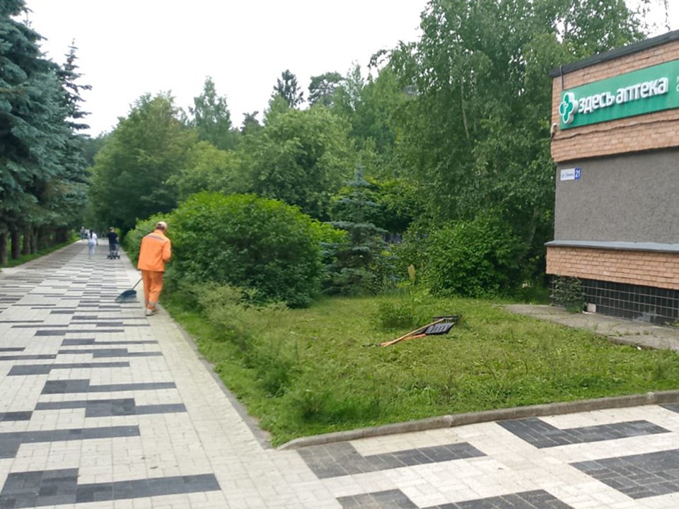 В Протвино скосили сорняк, который местные жители приняли за запрещенную траву