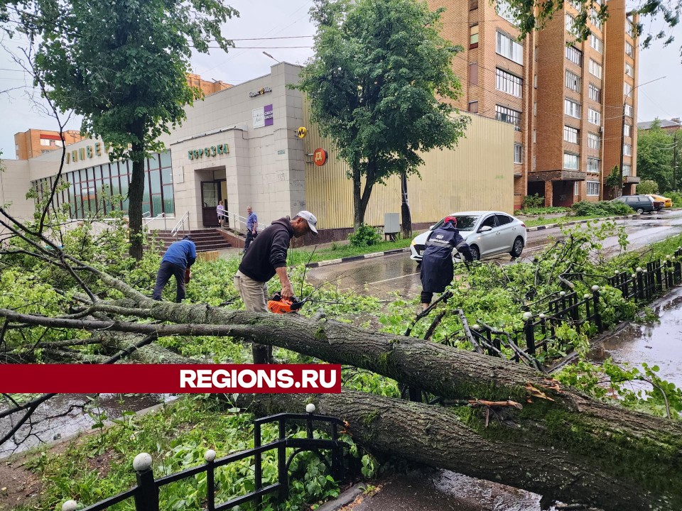 В Красноармейске убрали упавшее дерево, перегородившее проезд у школы №3