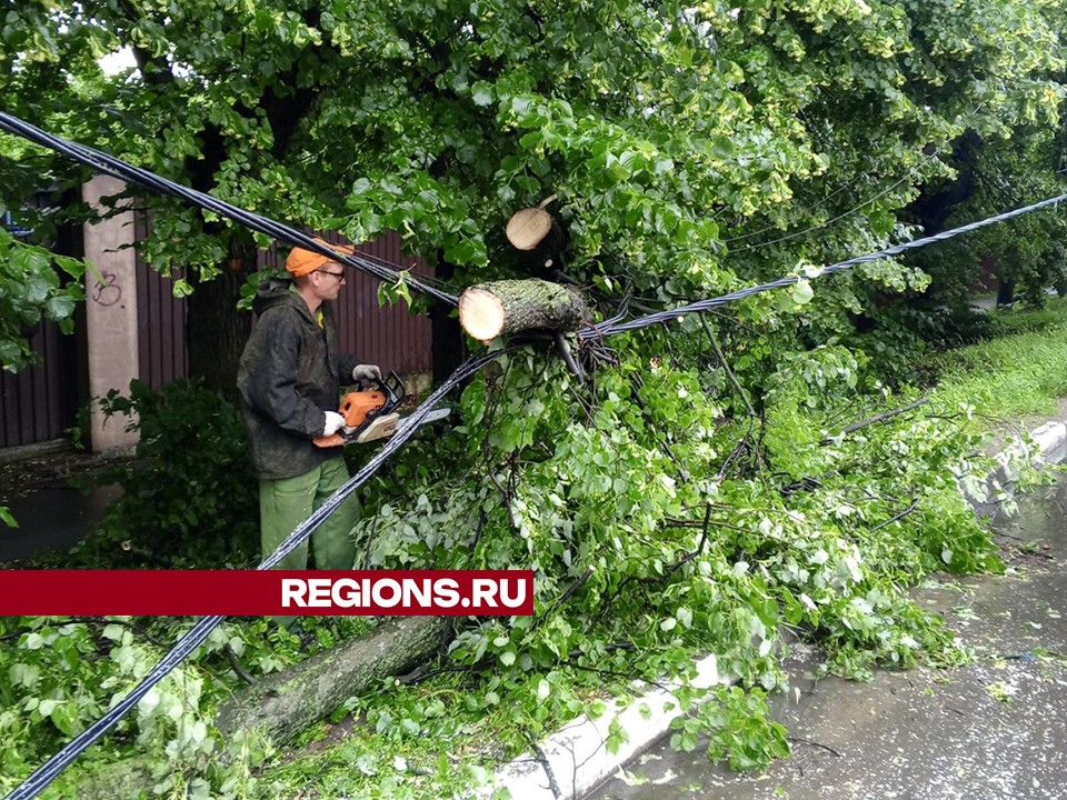 В Пушкино ураган «Эдгар» не разрушил здания и строения