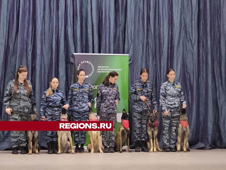 Всероссийский чемпионат «Профессионалы-2024» стартовал в Протвино