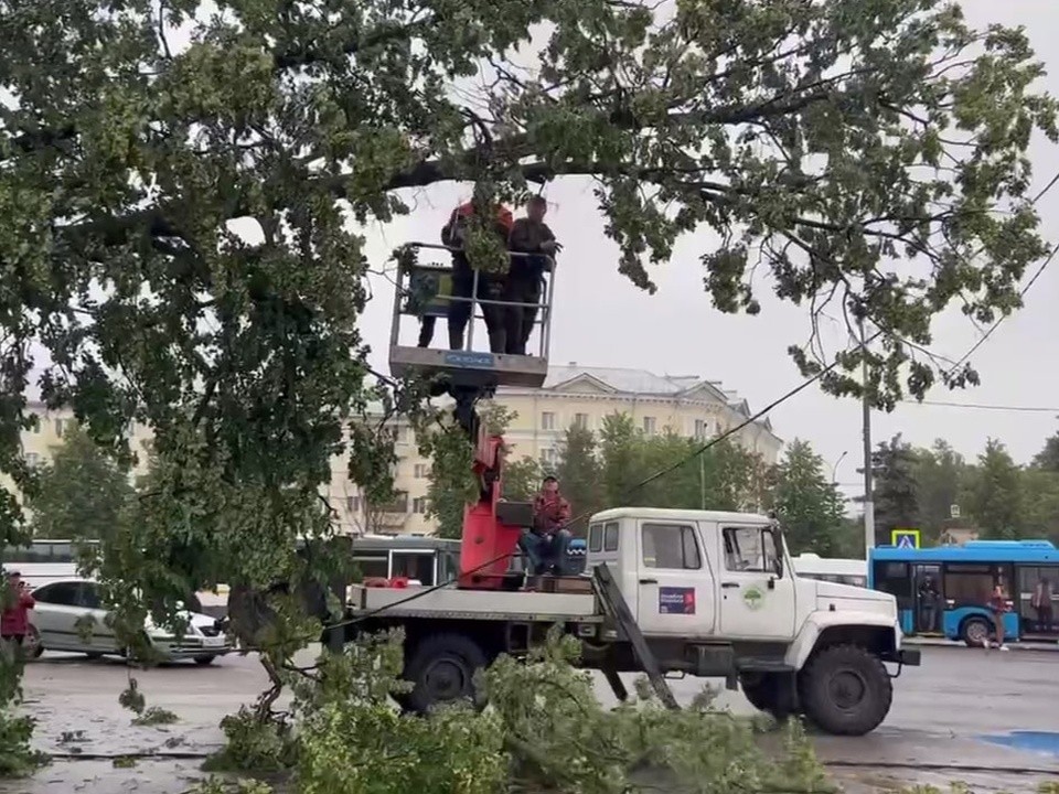 На станции МЦД-2 в Подольске из-за сильного ветра на автобус упало дерево
