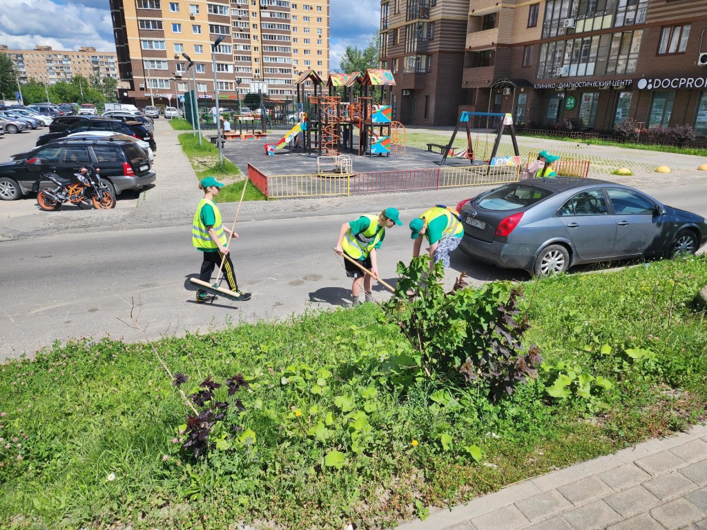 Первая зарплата в 14 лет: заканчивается первый месяц работы трудового  отряда в Долгопрудном | REGIONS.RU / Долгопрудный