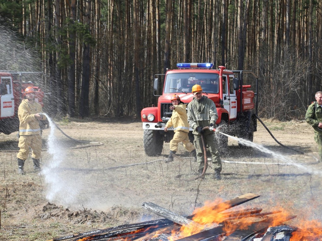 Пять лесных пожаров произошли в округе Луховицы с начала года