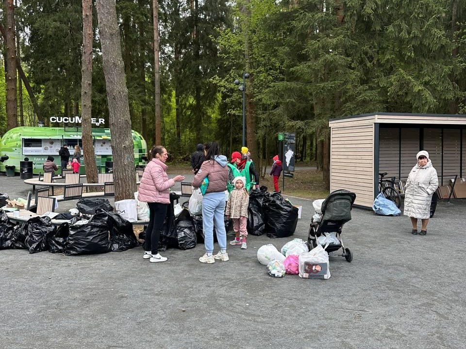 Больше 200 кубометров картона собрали экоактивисты из Истры