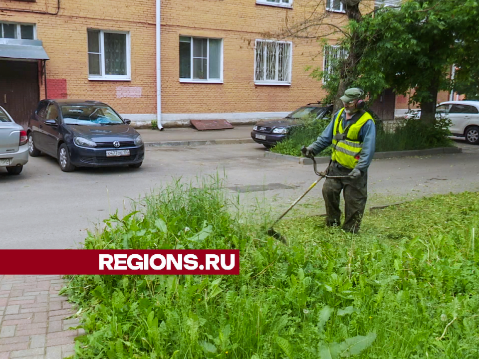 На улицах Гагарина и Профсоюзной в Клину скосили заросли травы