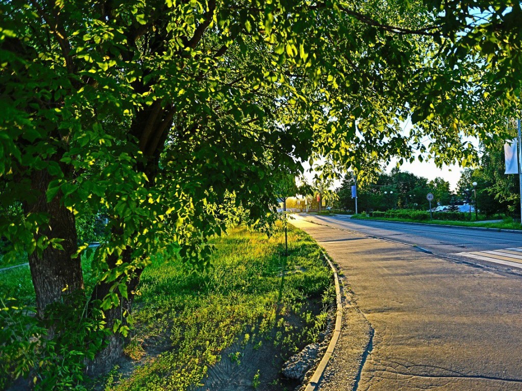 Сильная жара продержится в Шатуре всю предстоящую неделю | REGIONS.RU /  Шатура