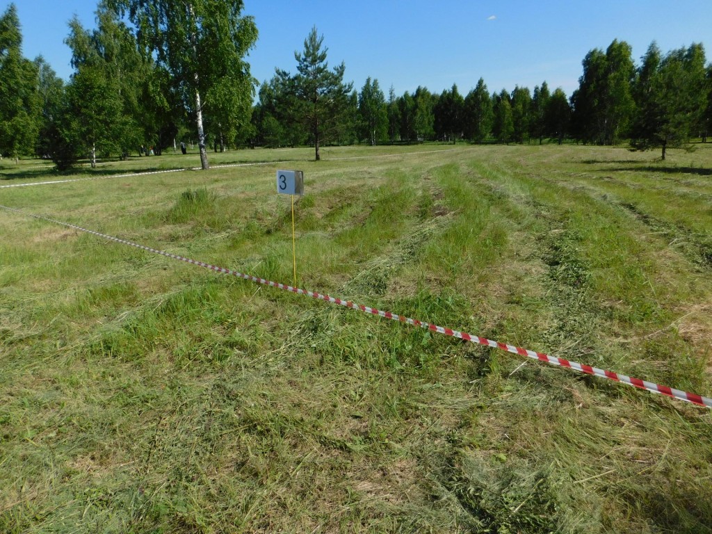 В Подмосковье проведено 135 аукционов по земельно-имущественным торгам