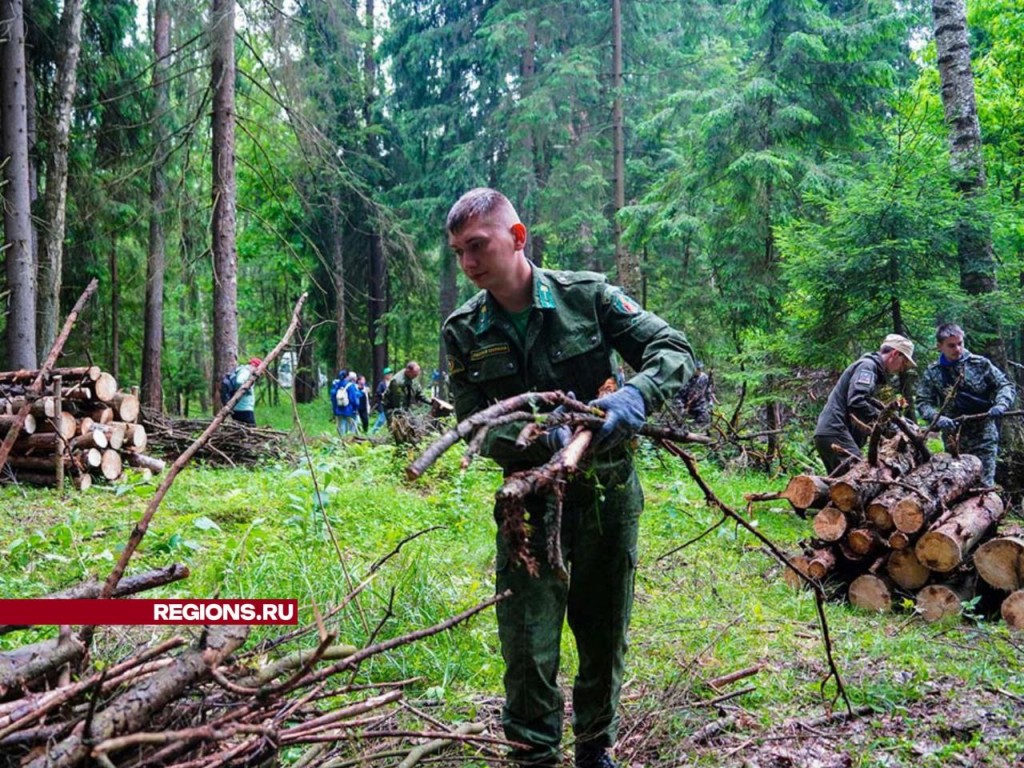 Собранный в ходе экологической акции валежник доставят семьям участников СВО