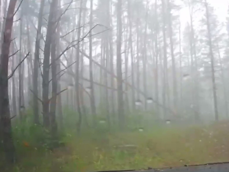 Порно видео Частное в лесу. Смотреть Частное в лесу онлайн