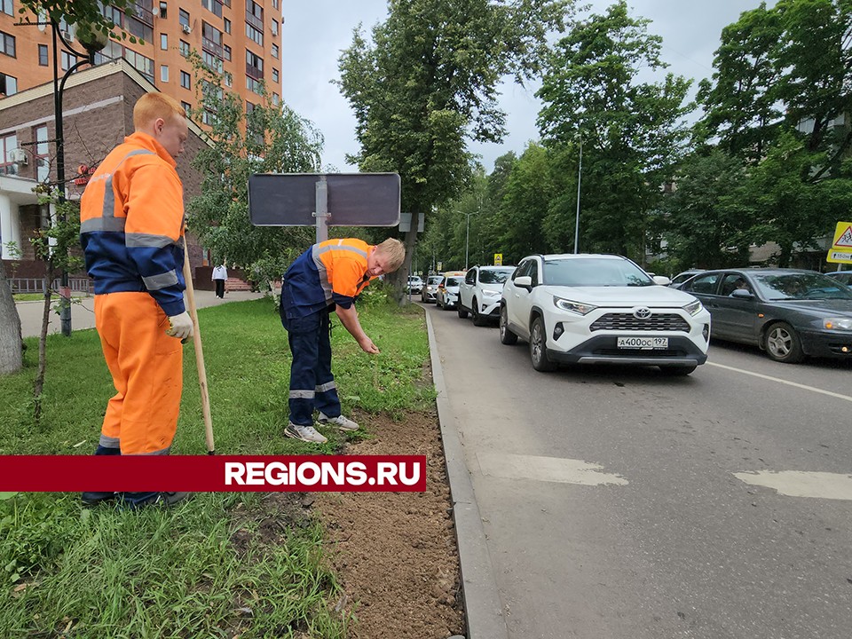 Сотрудники коммунальных служб восстановили придорожный газон в Пушкино
