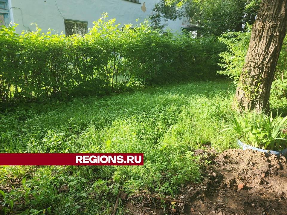 В деревне Демихово по просьбе жителей окосят траву