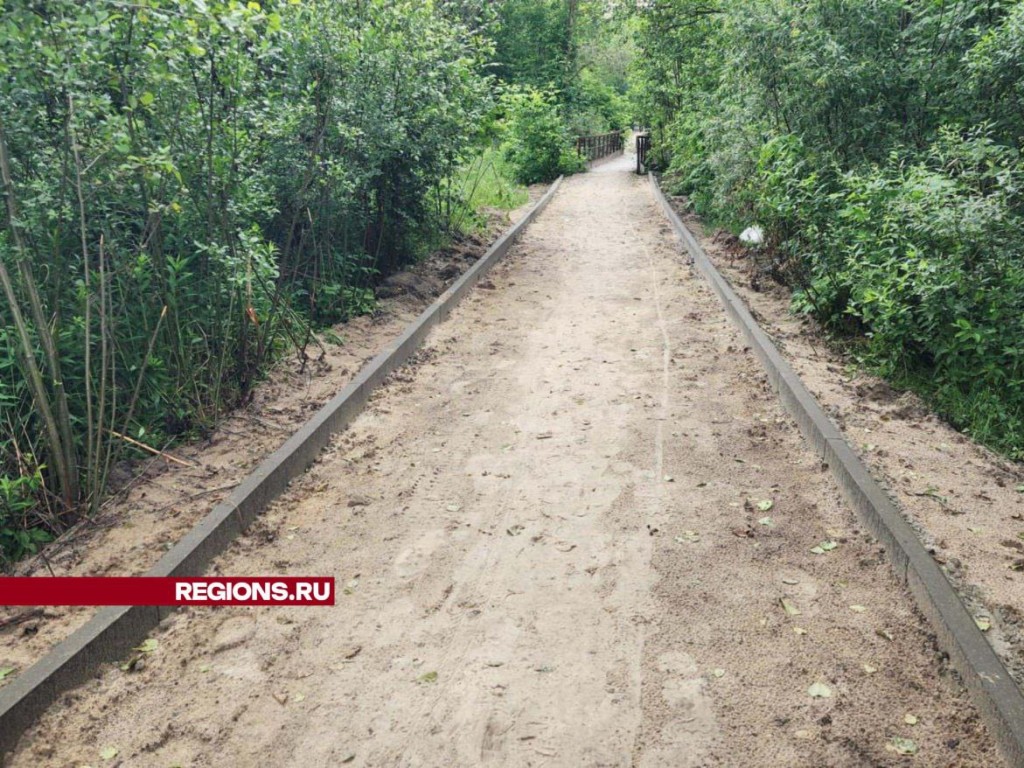 Пешеходную дорожку обустроят в Рошале от улицы Спортивной до городской поликлиники