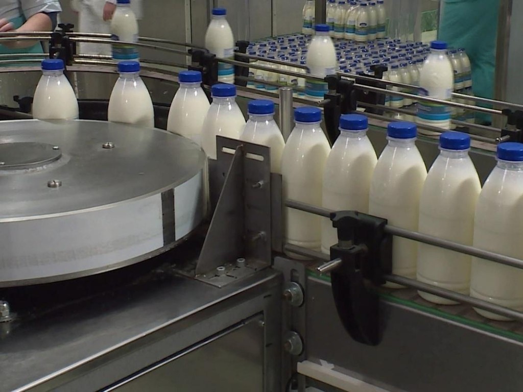 Завод, который будет производить в день до 100 тонн молочной продукции, построят в Шаховской
