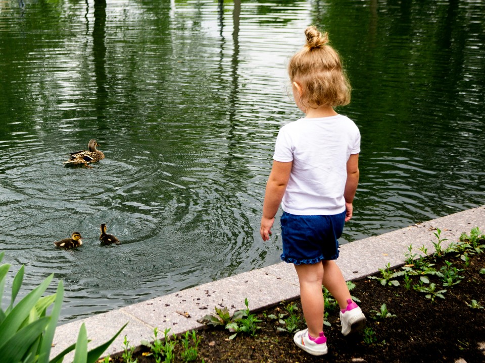 Подмосковная прокуратура защитила права ребенка-инвалида