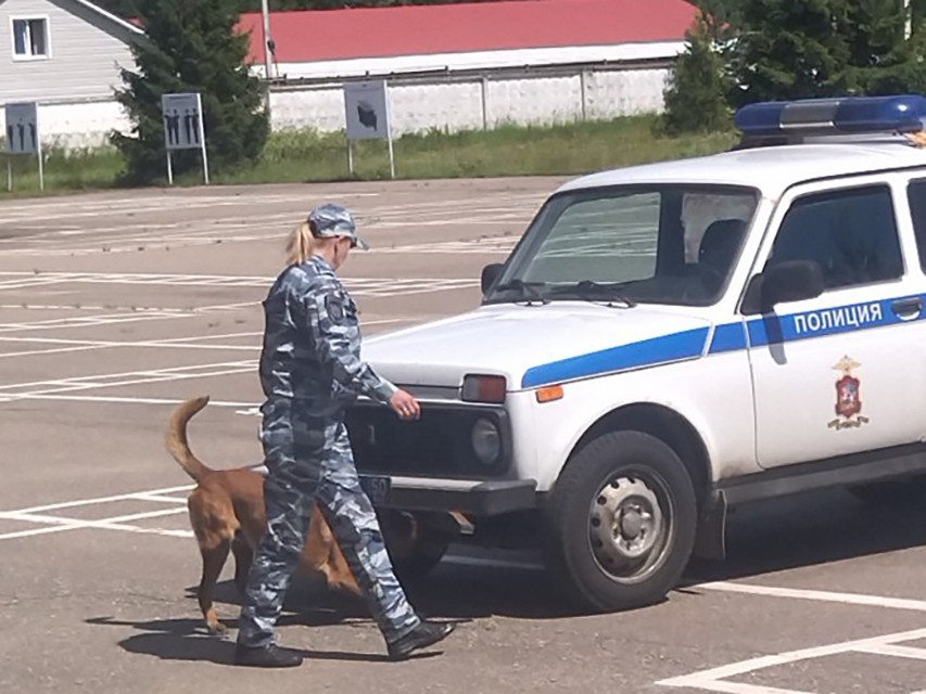 Кинологи из Дмитрова стали победителями региональных соревнований