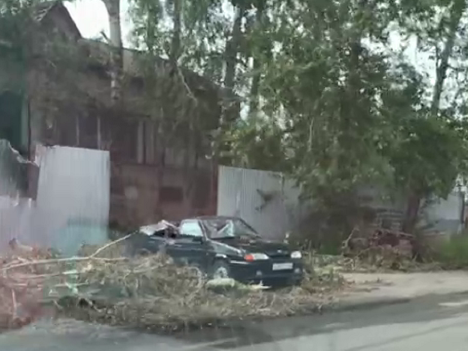 В Воскресенске дерево рухнуло на припаркованную машину