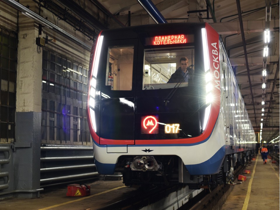 В Москве остановили движение на фиолетовой ветке метро из-за упавшего на пути дерева