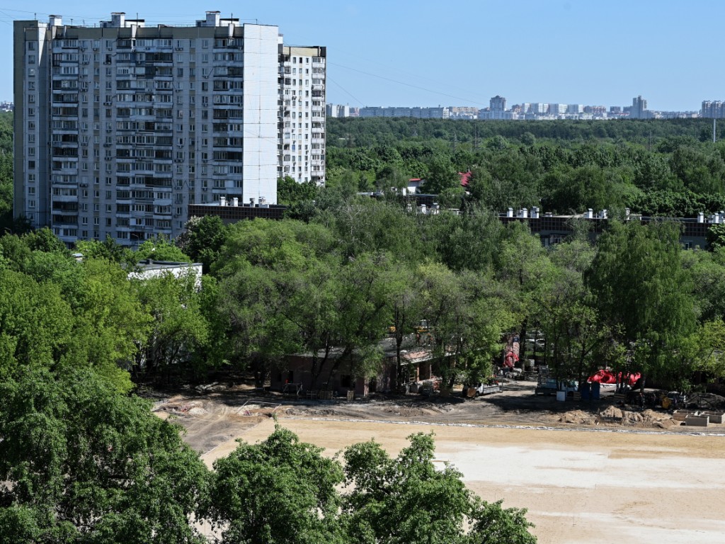 SHOT: житель Подмосковья застрелил соседскую лайку из карабина | Regions.ru