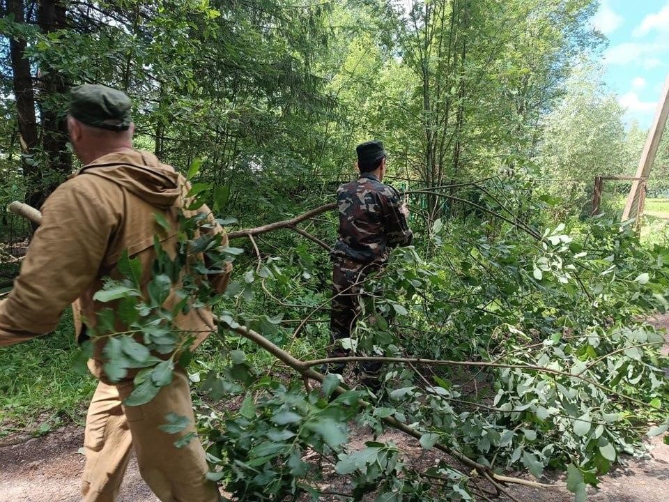 Звенигородские лесничие расчистили дорогу от поваленных деревьев к СНТ «Красный пролетарий 2»