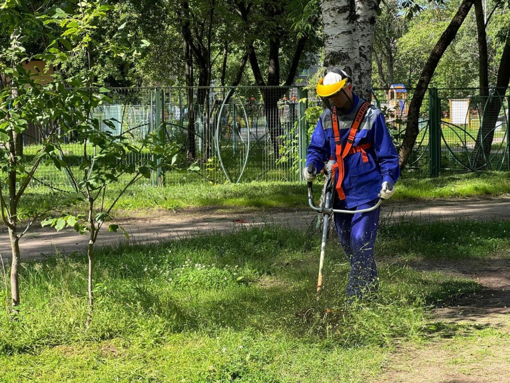 В Дубне стартовал второй этап покоса травы | REGIONS.RU / Дубна