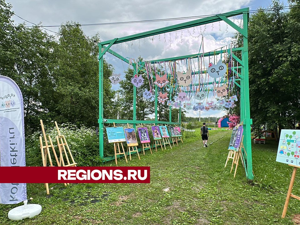 На благотворительном пикнике в Клину шесть питомцев обрели дом